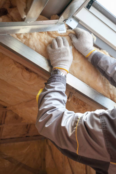 Best Specialized Insulation Services in White Settlement, TX